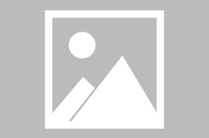 半岛体育官方网站登录-李娜携手姚迪战意甲细节曝光，从天津训练场到亚平宁的华丽冒险，李娜姚迪，从天津训练场到意甲赛场的华丽冒险